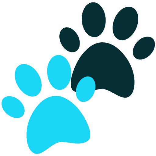 Favicon Snug Tail Pet Therapy in Southern Massachusetts