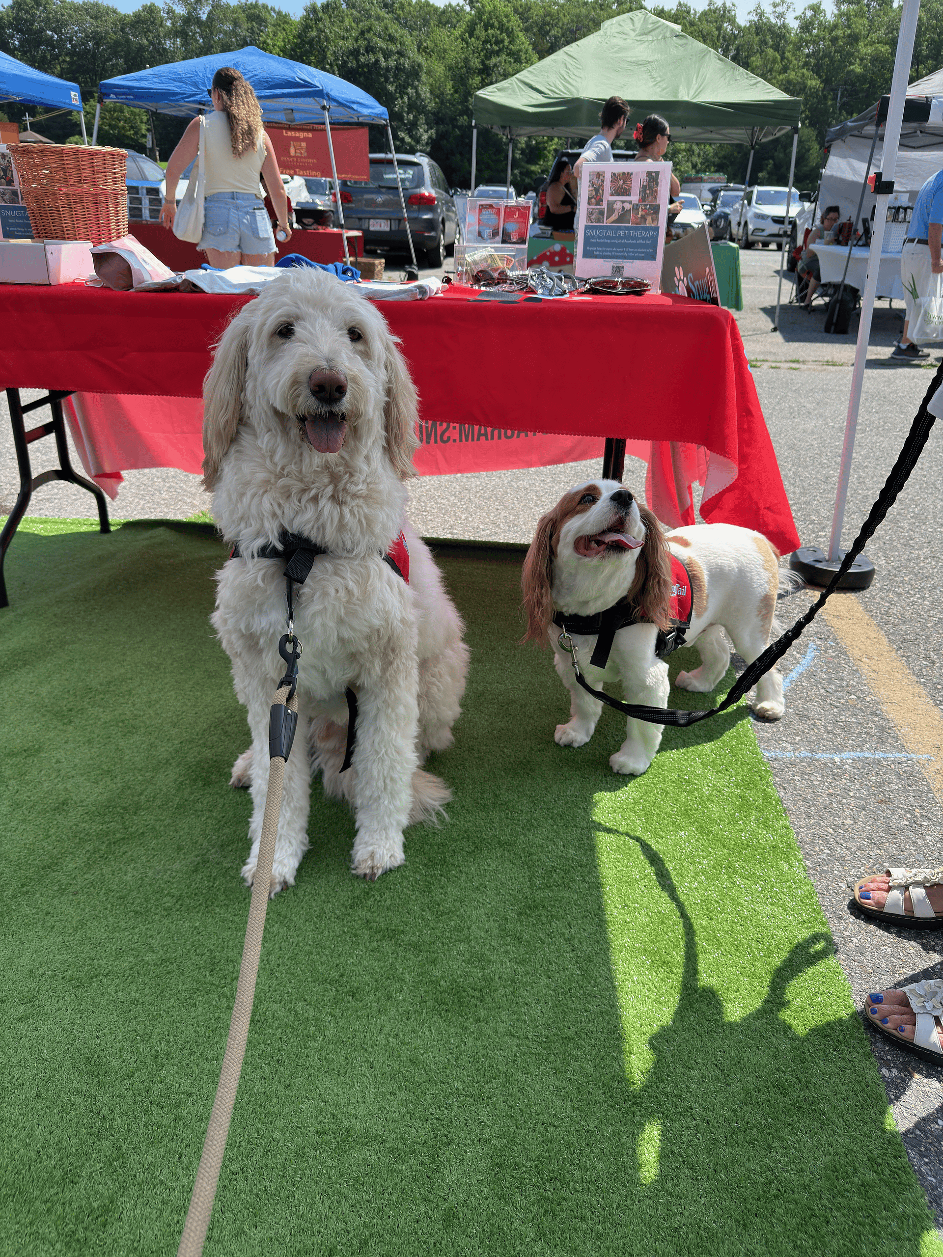 SnugTail Therapy Dogs at Booth