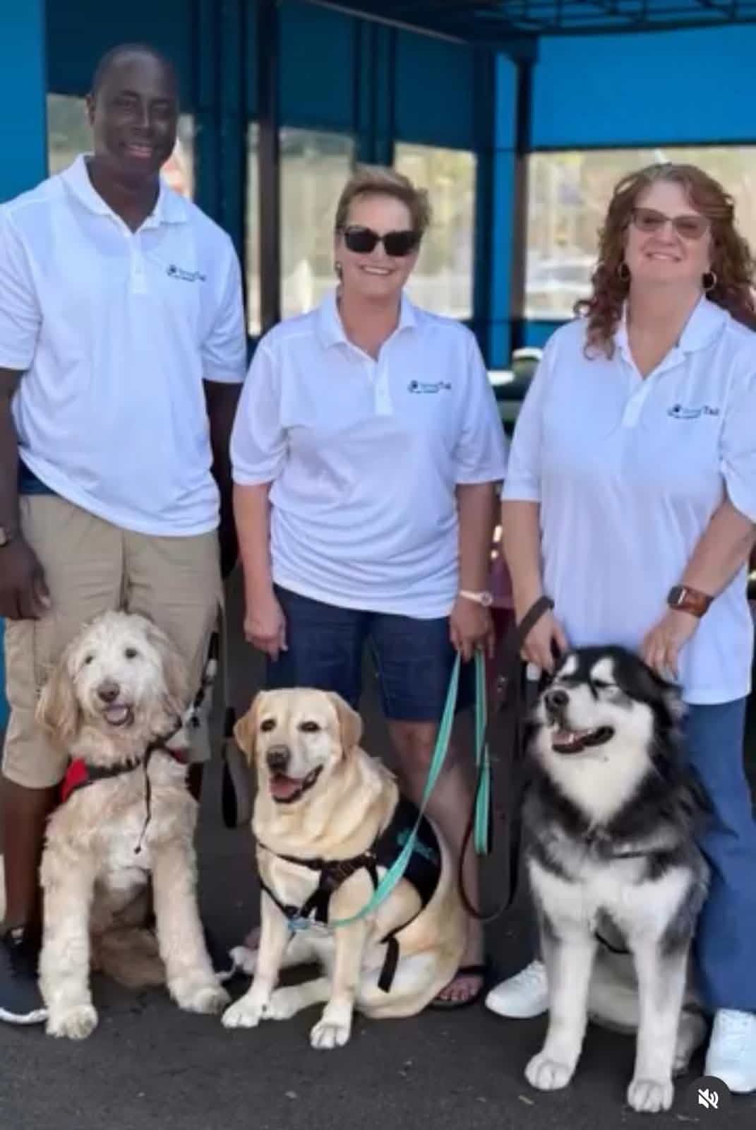 Therapy dog team of 3